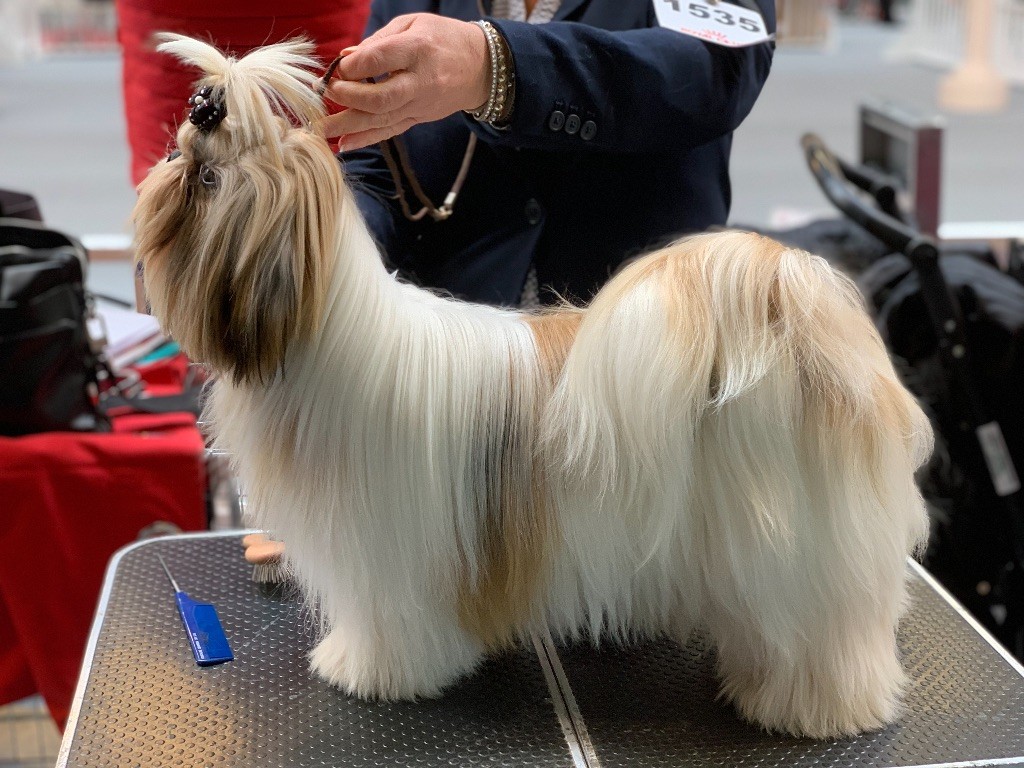 Orlinda Des poupons frises