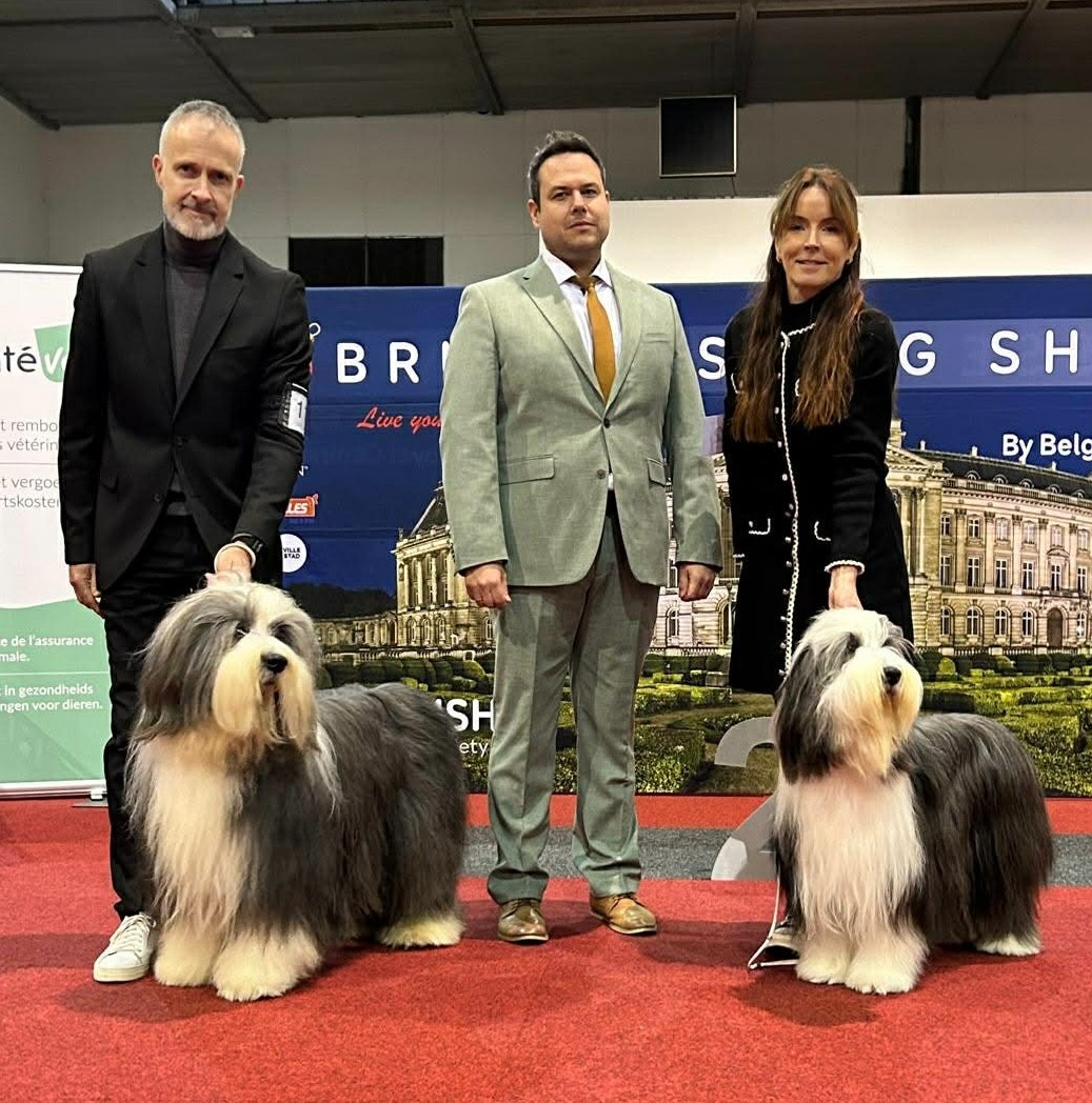 de Saint Prixe - IDS BRUXELLES 13/12/2025