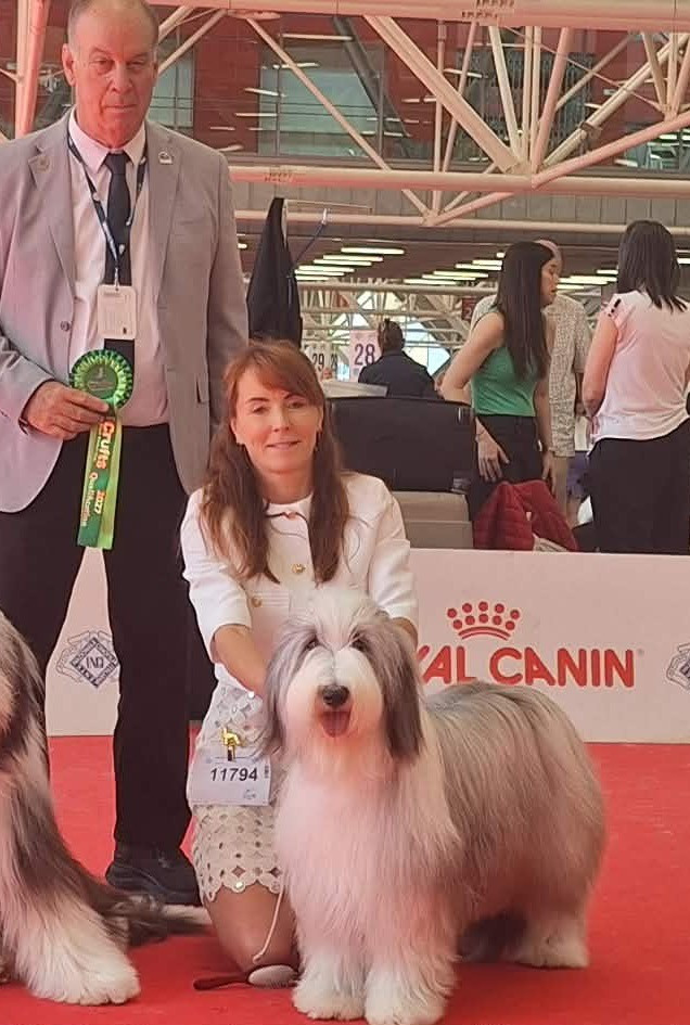 WORLD DOG SHOW BOLOGNE 2026